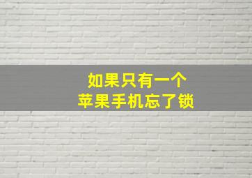 如果只有一个苹果手机忘了锁