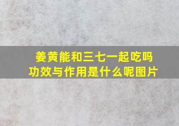 姜黄能和三七一起吃吗功效与作用是什么呢图片