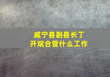 威宁县副县长丁开斌合管什么工作