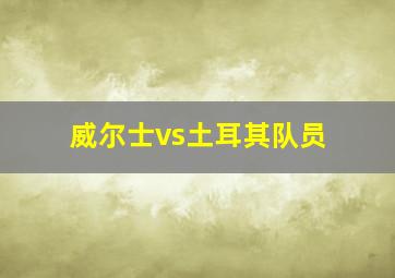 威尔士vs土耳其队员