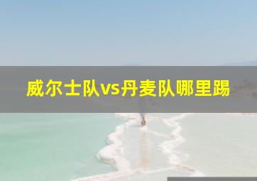 威尔士队vs丹麦队哪里踢