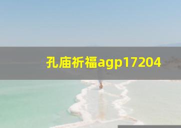 孔庙祈福agp17204