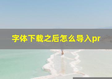 字体下载之后怎么导入pr