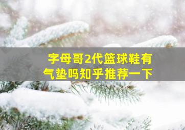 字母哥2代篮球鞋有气垫吗知乎推荐一下