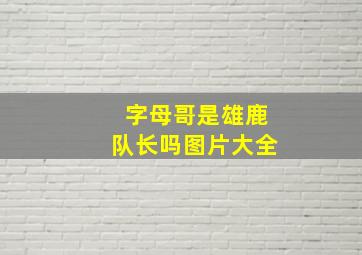 字母哥是雄鹿队长吗图片大全