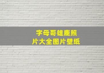 字母哥雄鹿照片大全图片壁纸