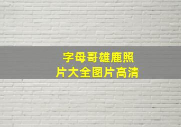 字母哥雄鹿照片大全图片高清