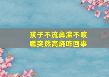 孩子不流鼻涕不咳嗽突然高烧咋回事