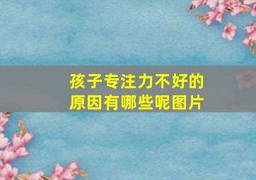 孩子专注力不好的原因有哪些呢图片