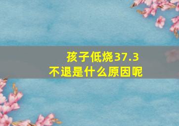 孩子低烧37.3不退是什么原因呢