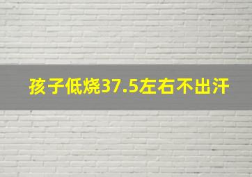 孩子低烧37.5左右不出汗