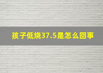 孩子低烧37.5是怎么回事