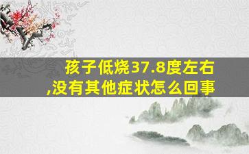 孩子低烧37.8度左右,没有其他症状怎么回事