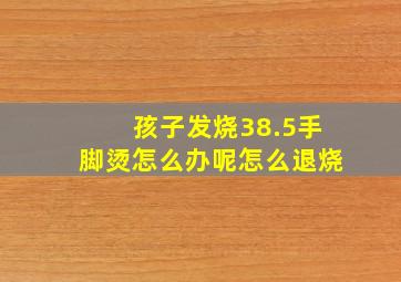 孩子发烧38.5手脚烫怎么办呢怎么退烧