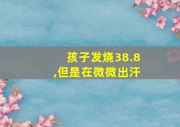 孩子发烧38.8,但是在微微出汗