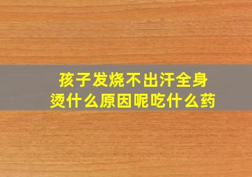 孩子发烧不出汗全身烫什么原因呢吃什么药