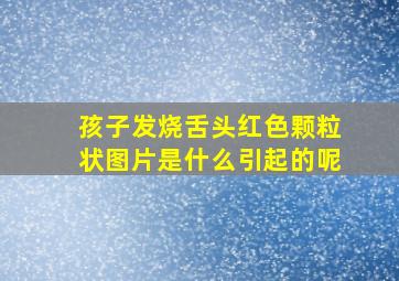 孩子发烧舌头红色颗粒状图片是什么引起的呢