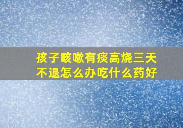 孩子咳嗽有痰高烧三天不退怎么办吃什么药好