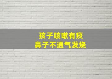 孩子咳嗽有痰鼻子不通气发烧