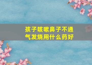 孩子咳嗽鼻子不通气发烧用什么药好