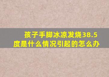 孩子手脚冰凉发烧38.5度是什么情况引起的怎么办