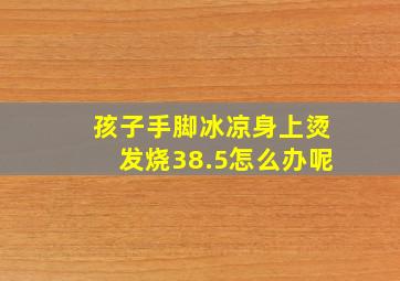 孩子手脚冰凉身上烫发烧38.5怎么办呢