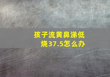 孩子流黄鼻涕低烧37.5怎么办