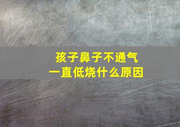 孩子鼻子不通气一直低烧什么原因