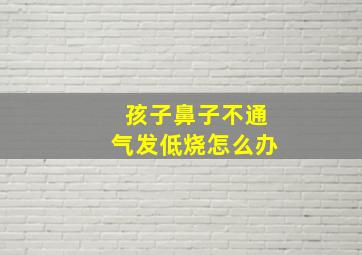 孩子鼻子不通气发低烧怎么办