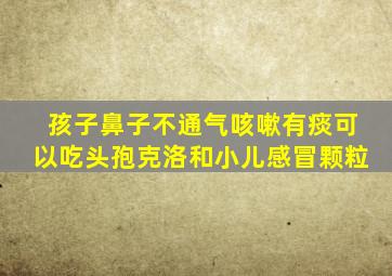 孩子鼻子不通气咳嗽有痰可以吃头孢克洛和小儿感冒颗粒