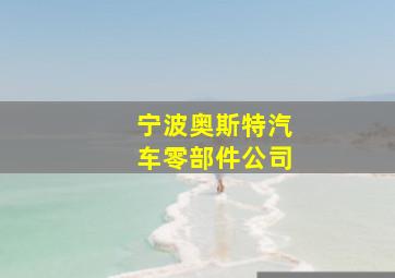 宁波奥斯特汽车零部件公司