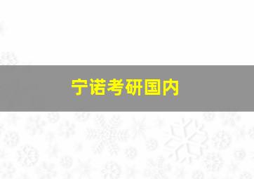 宁诺考研国内