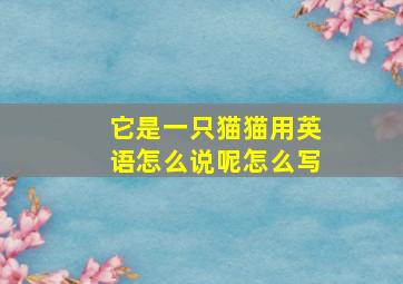 它是一只猫猫用英语怎么说呢怎么写