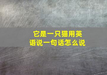 它是一只猫用英语说一句话怎么说