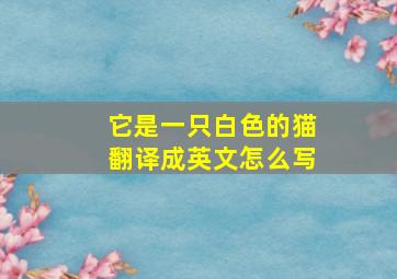 它是一只白色的猫翻译成英文怎么写