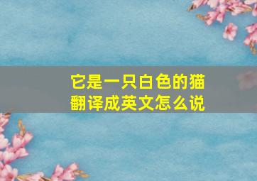 它是一只白色的猫翻译成英文怎么说