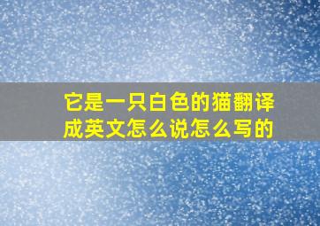 它是一只白色的猫翻译成英文怎么说怎么写的