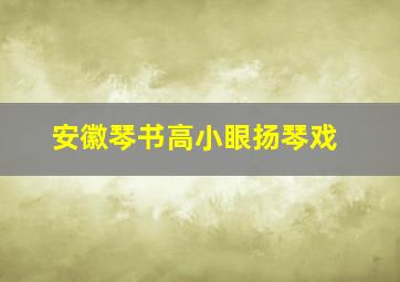 安徽琴书高小眼扬琴戏