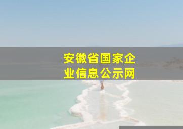 安徽省国家企业信息公示网