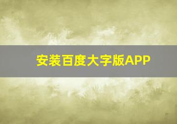 安装百度大字版APP