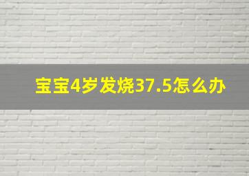 宝宝4岁发烧37.5怎么办