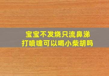 宝宝不发烧只流鼻涕打喷嚏可以喝小柴胡吗