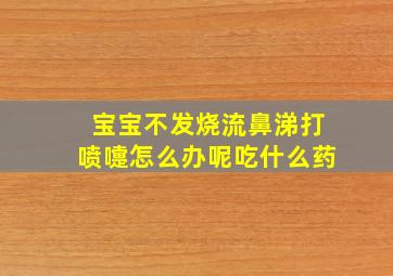 宝宝不发烧流鼻涕打喷嚏怎么办呢吃什么药