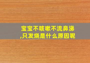 宝宝不咳嗽不流鼻涕,只发烧是什么原因呢