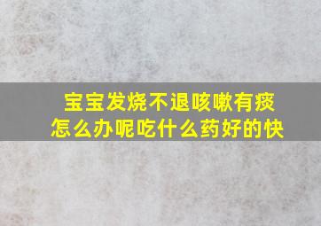 宝宝发烧不退咳嗽有痰怎么办呢吃什么药好的快