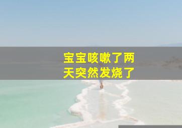 宝宝咳嗽了两天突然发烧了