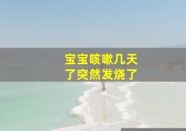 宝宝咳嗽几天了突然发烧了