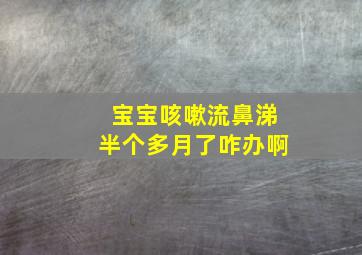 宝宝咳嗽流鼻涕半个多月了咋办啊