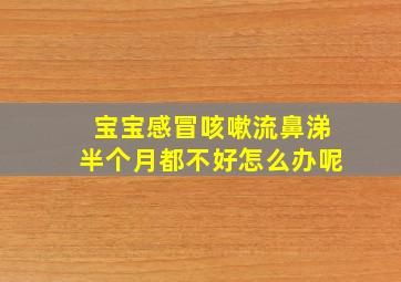 宝宝感冒咳嗽流鼻涕半个月都不好怎么办呢