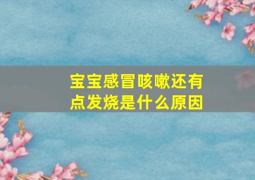 宝宝感冒咳嗽还有点发烧是什么原因